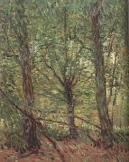 Vincent Van Gogh Trees adn Undergrowth (nn04) Sweden oil painting artist